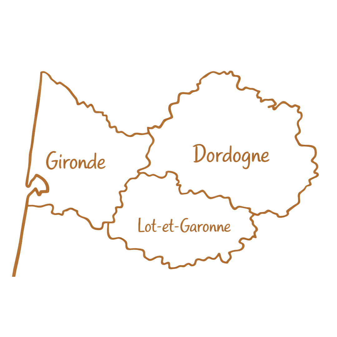 Création de site internet professionnel